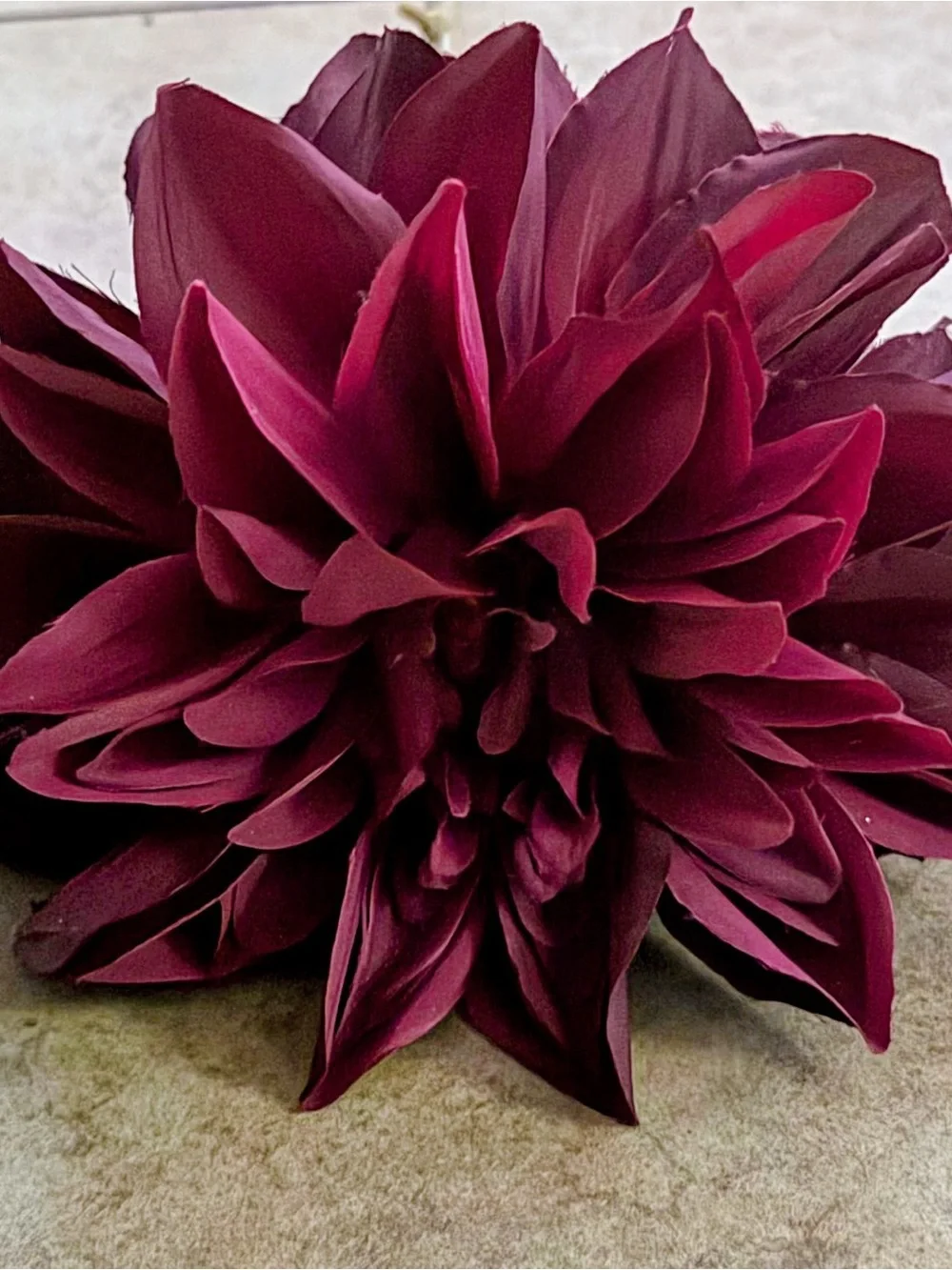 Decorative Tall Burgundy Ceramic Floor Vase -